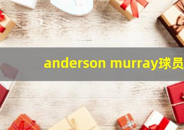 anderson murray球员